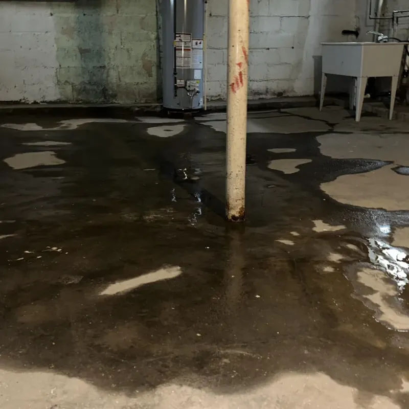 Emergency Water Extraction And Removal in Barton County, MO
